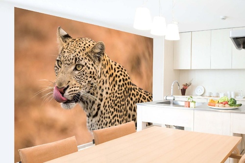 Vlies Fototapete - Leopardin 375 x 250 cm